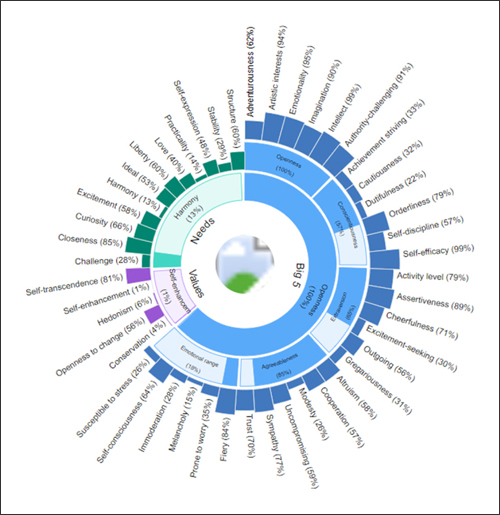 }U@Personality Insights ɂo͗iSunburst Chartj